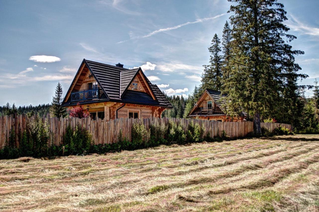 Domki Odpocywadlo * Witow (Tatra)